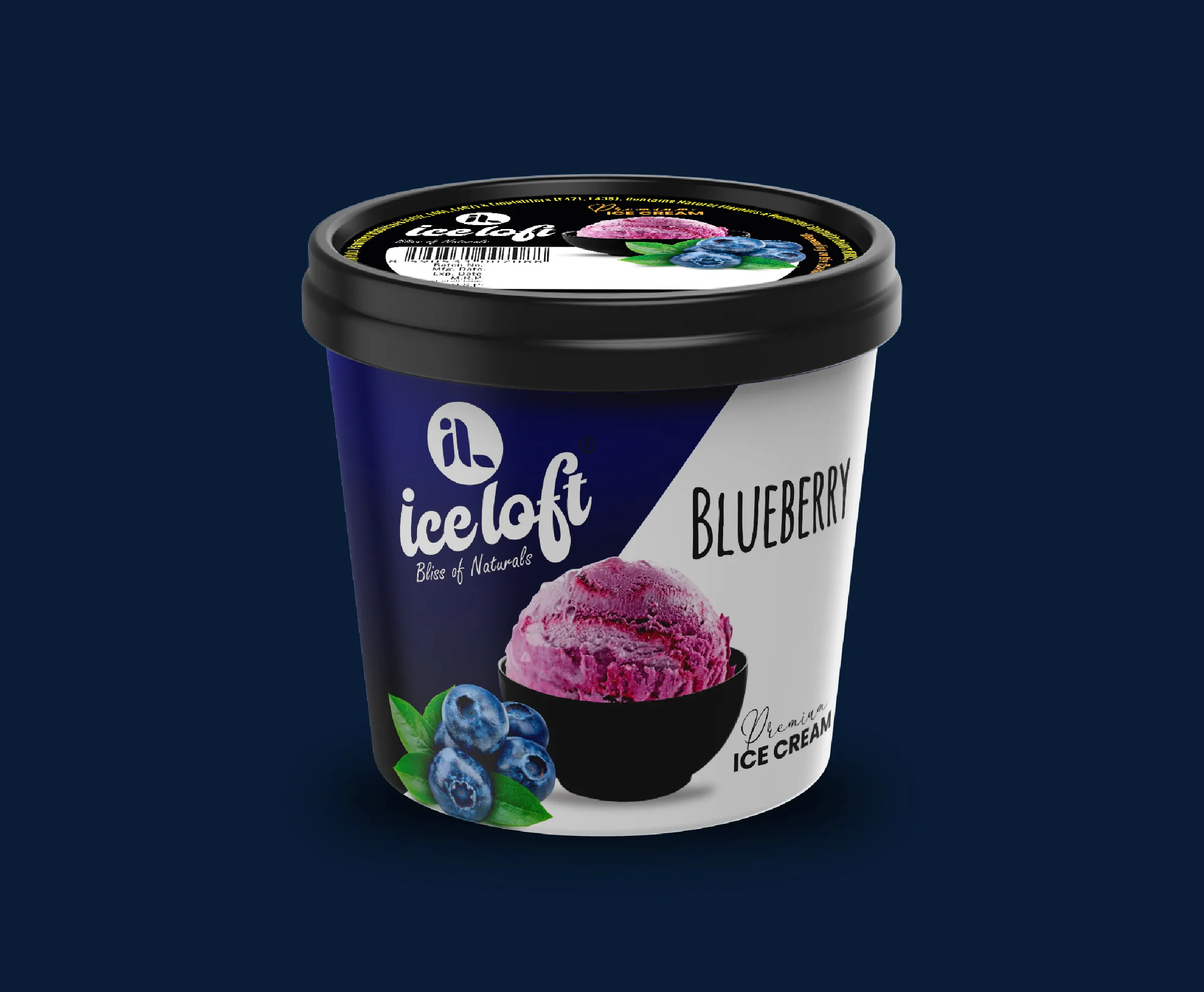 Blueberry Tub Icecream